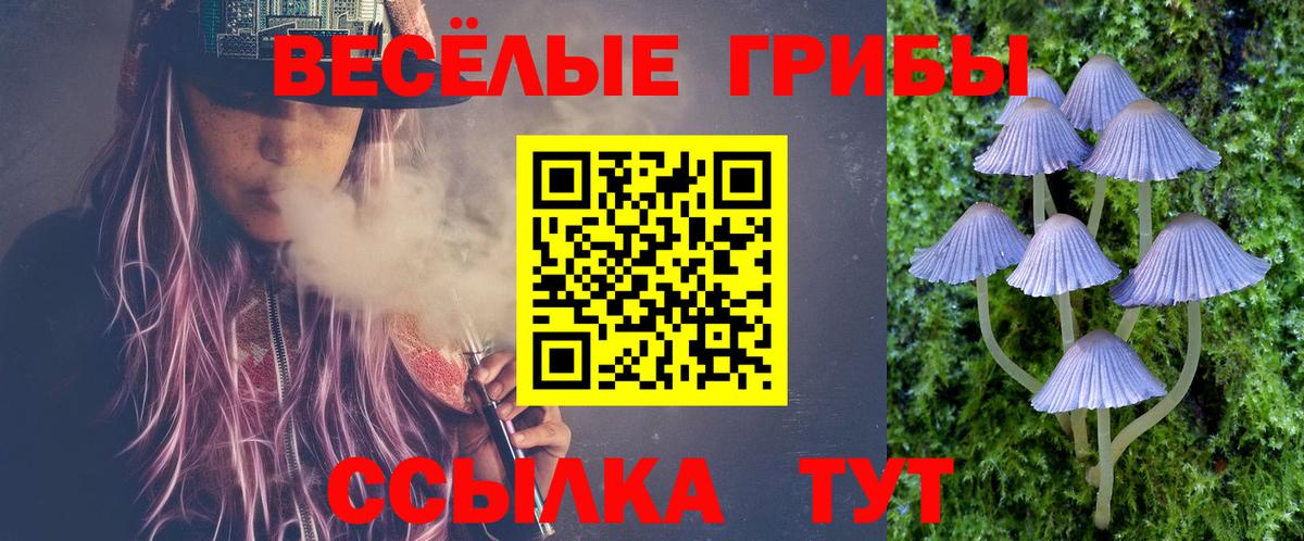 Псилоцибиновые грибы Psilocybe Дивногорск