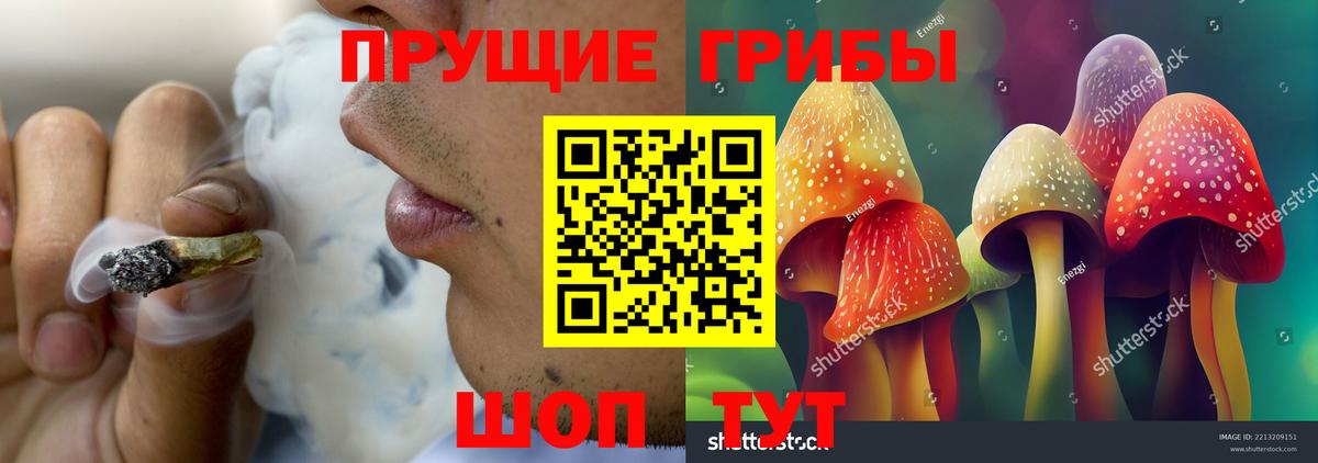 Псилоцибиновые грибы мухоморы  Галлюциногенные грибы ЛСД  Дивногорск  Вход с VPN 